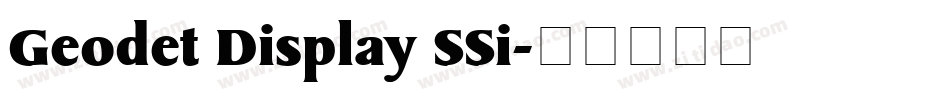 Geodet Display SSi字体转换